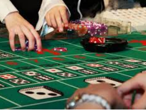 BBIN视讯官网2024最新版